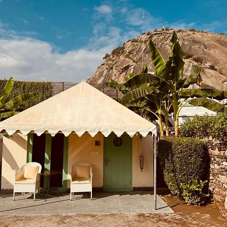 The Rawla Narlai - A Luxury Heritage Stay In Leopard Country Exteriör bild
